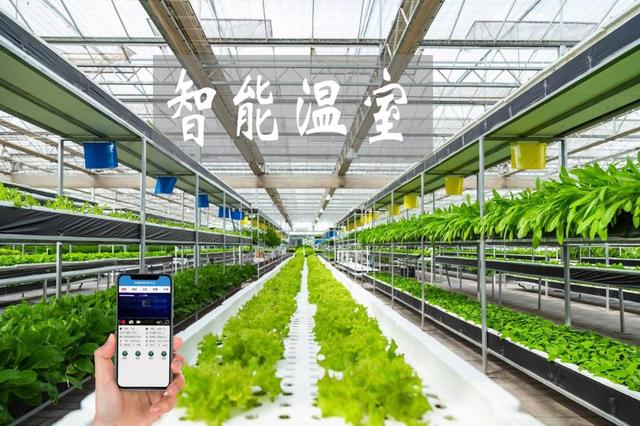 農業物聯網賦能傳統大棚升級，手機管控溫濕度引領智能農業新時代