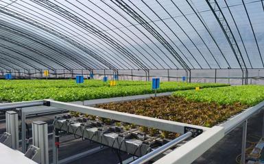 阿里云 智能農業(yè)的領航者，高科技助新農人畝產躍升六倍