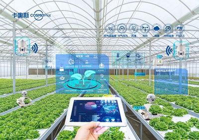 卡奧斯海優(yōu)禾入選農(nóng)業(yè)農(nóng)村部信息中心優(yōu)秀案例 科技點(diǎn)亮田間，智能管理賦能鄉(xiāng)村振興