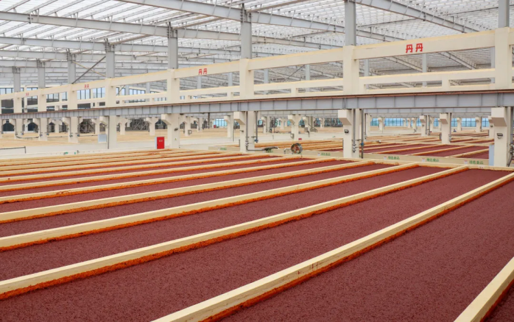 入選國家級重點培育名單！這勺郫縣豆瓣藏著川味的“世界通行證”與智能農業管理